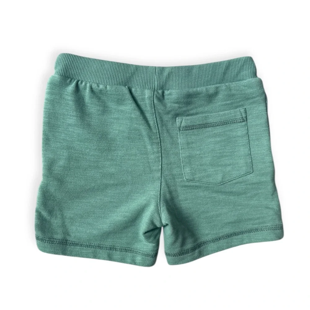 Little Bipsy Janie & Jack Toddler Boy West Coast Graphic Tee/Sage Shorts Set 2T